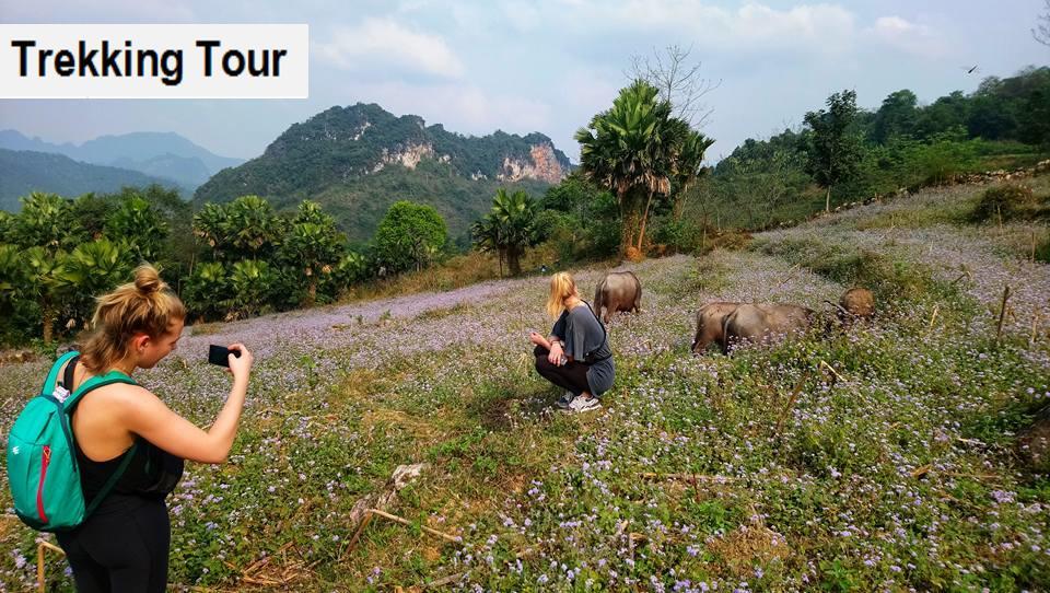 Ha Giang Amazing Hostel Exterior photo